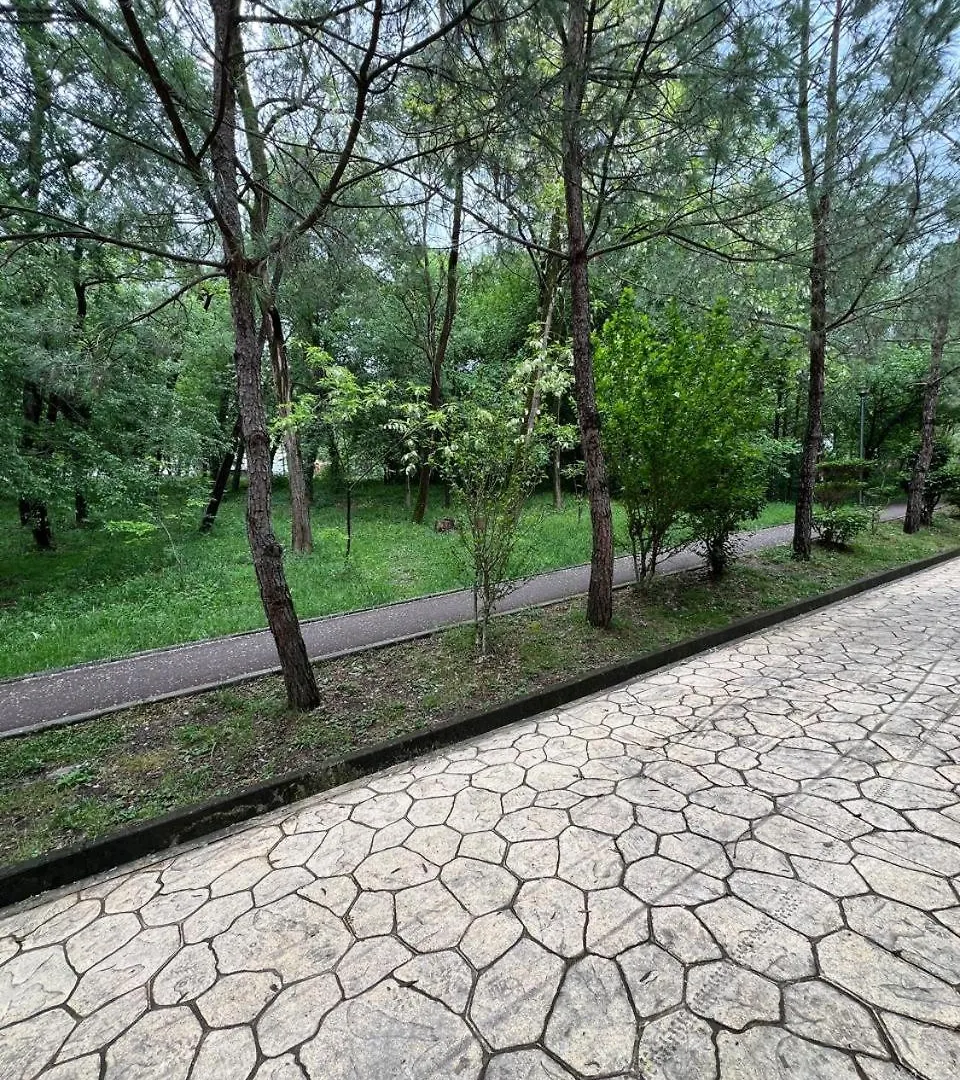 Apartment Cozy Flat Near Air Albania Stadium 1 Tirana